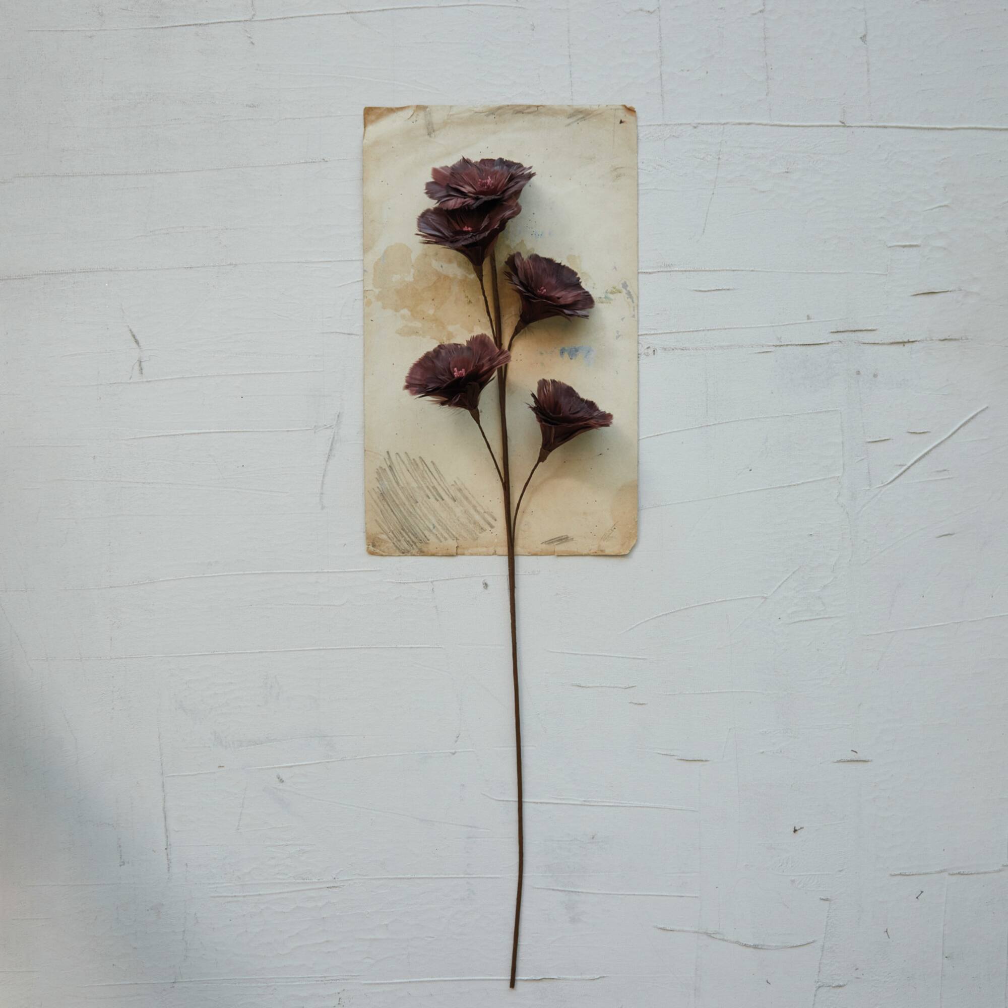 Hello Honey® 33" Burgundy Feather Flower Stem